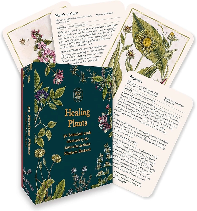 Healing Plants - A Botanical Card Deck: 50 botanical cards illustrated by the pioneering herbalist Elizabeth Blackwell