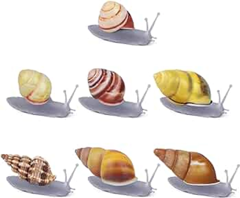 Natural Snail Shell Refrigerator Fridge Magnets, Gift Decorative Magnets Fridge Cute for Crafts, Magnets Office Kitchen Magnets Locker Glass Magnets Grey(7 PCS)