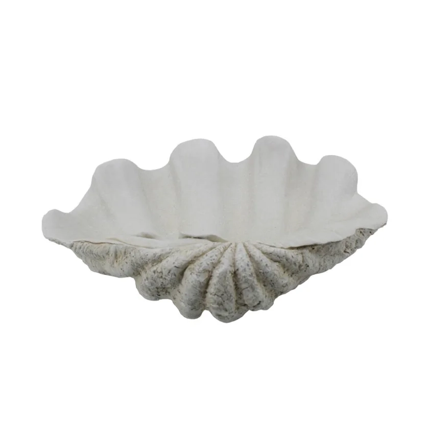 Large White Clam Shell Dish