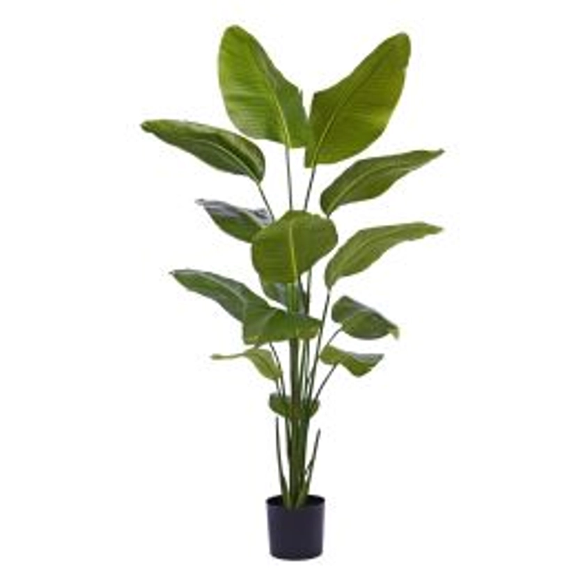 Strelitzia Nicolai plante artificielle 175cm | Maxifleur