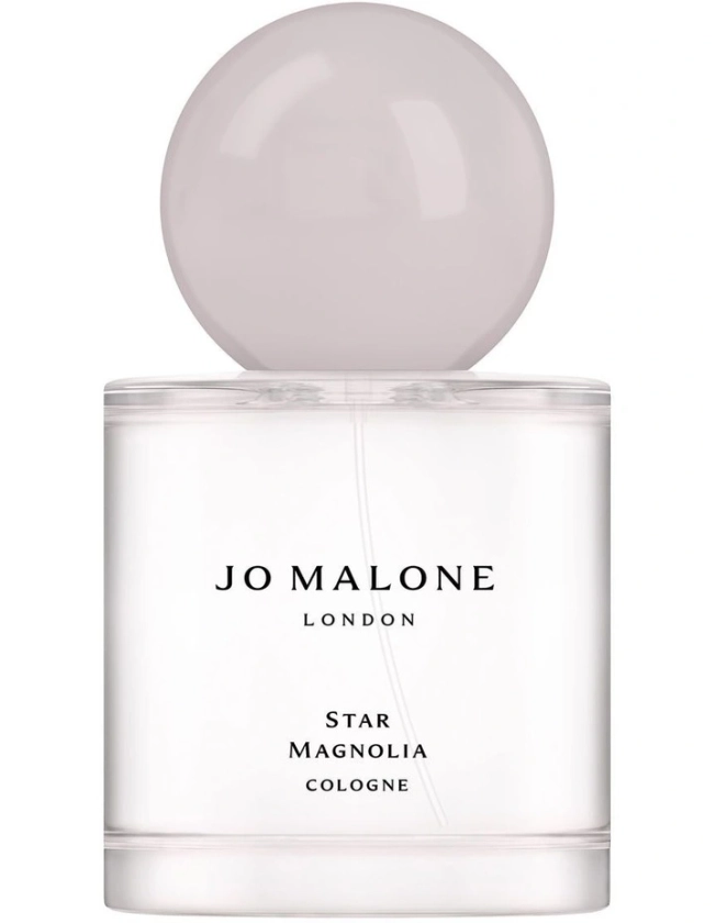 Star Magnolia Cologne