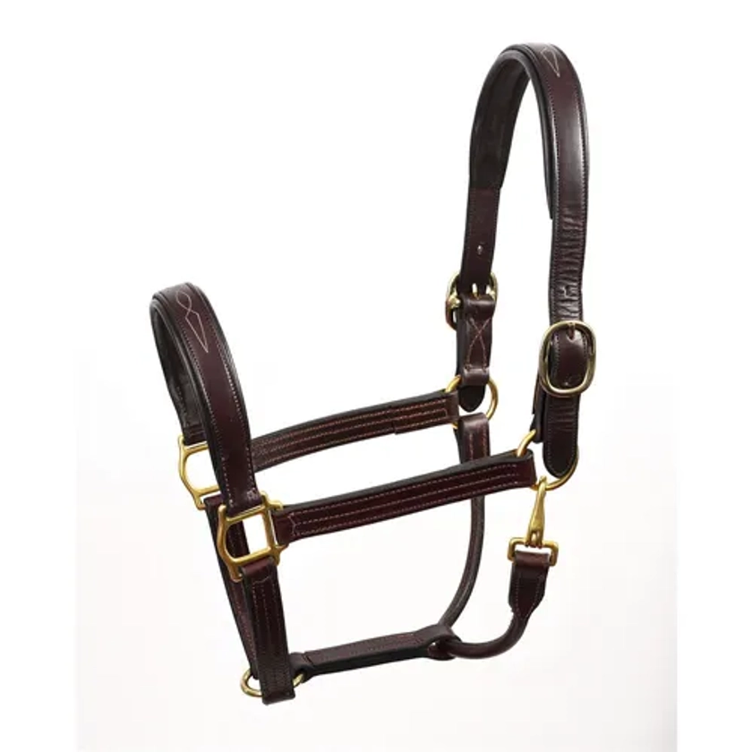 Perri’s® Fancy-Stitched Padded Leather Halter | Dover Saddlery