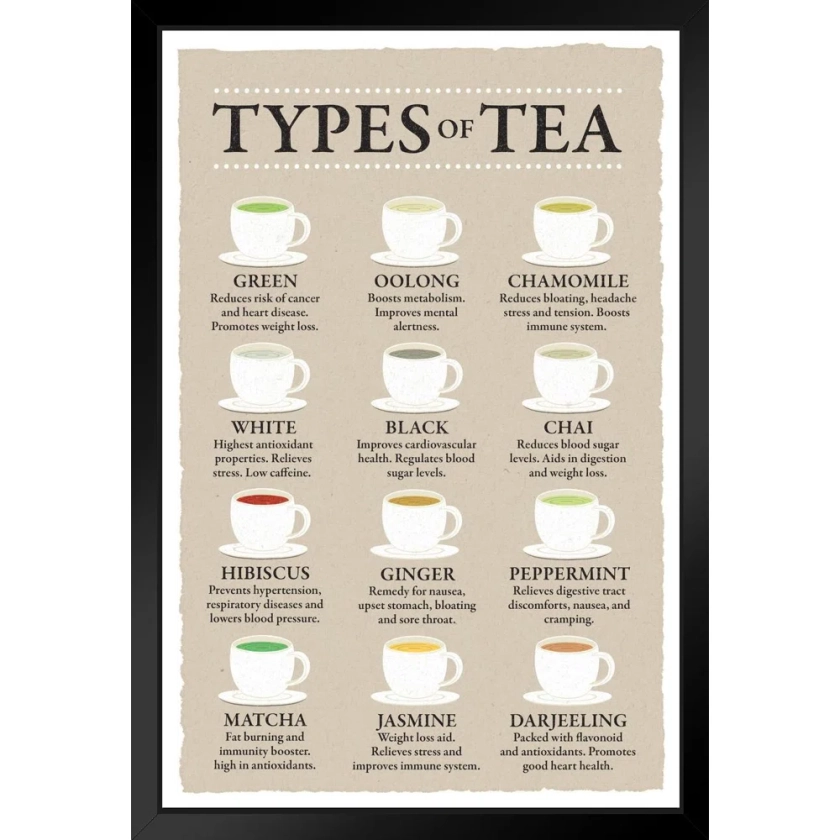 Trinx " Types Of Tea And Their Benefits Chart Varieties Infographic Beige White Wood Framed Poster 14x20 " on Paper | Wayfair
