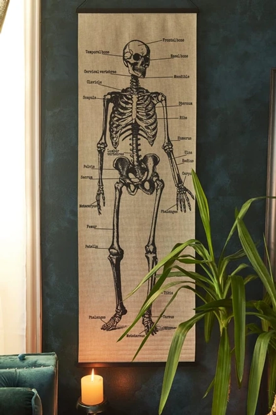 Skeleton Chart Wall Banner