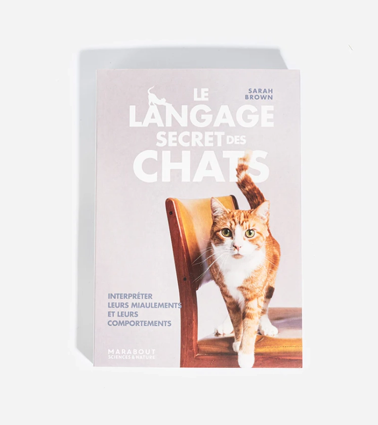 Le langage secret des chats