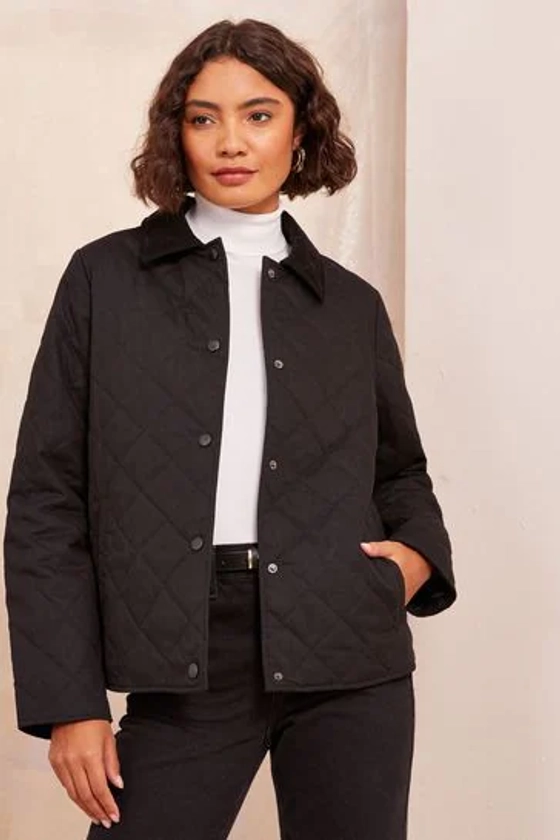 Buy Friends Like These Quilted Collar Jacket from Next Poland