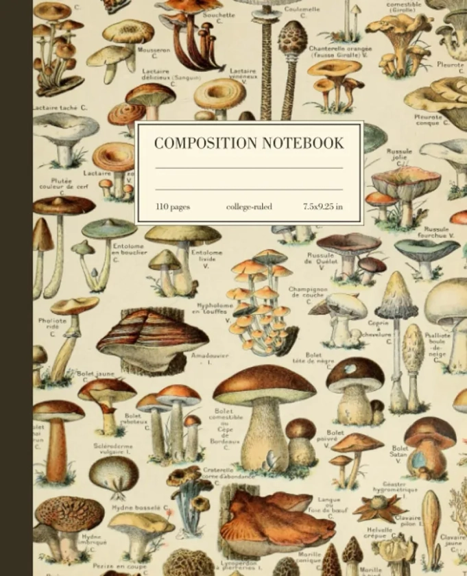 Composition Notebook College Ruled: Mushroom Vintage Botanical Illustration | Cute Cottagecore Aesthetic Journal For School, College, Office, Work | Wide Lined