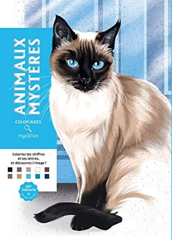 Mystery Animal Colourings : Rullier, Laurent: Amazon.com.be: Books