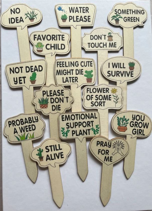Plant Markers | Funny Plant | Crazy Plant Lady | Wooden Plant Marker | Sarcastic Plant | Plant Gift | Plant Killer | Plants | Plant Gifts