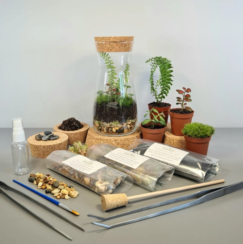 DIY Terrarium Kit With Plants Vase Kit Complete Starter Kit With Bun Moss, Premium Substrate, and Tools Perfect for Beginners and Gifts - Etsy UK