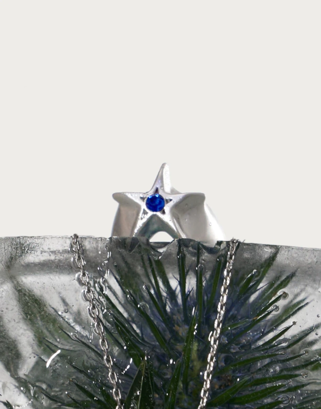 The Lissie Star Ring | En Route Jewelry | En Route Jewelry