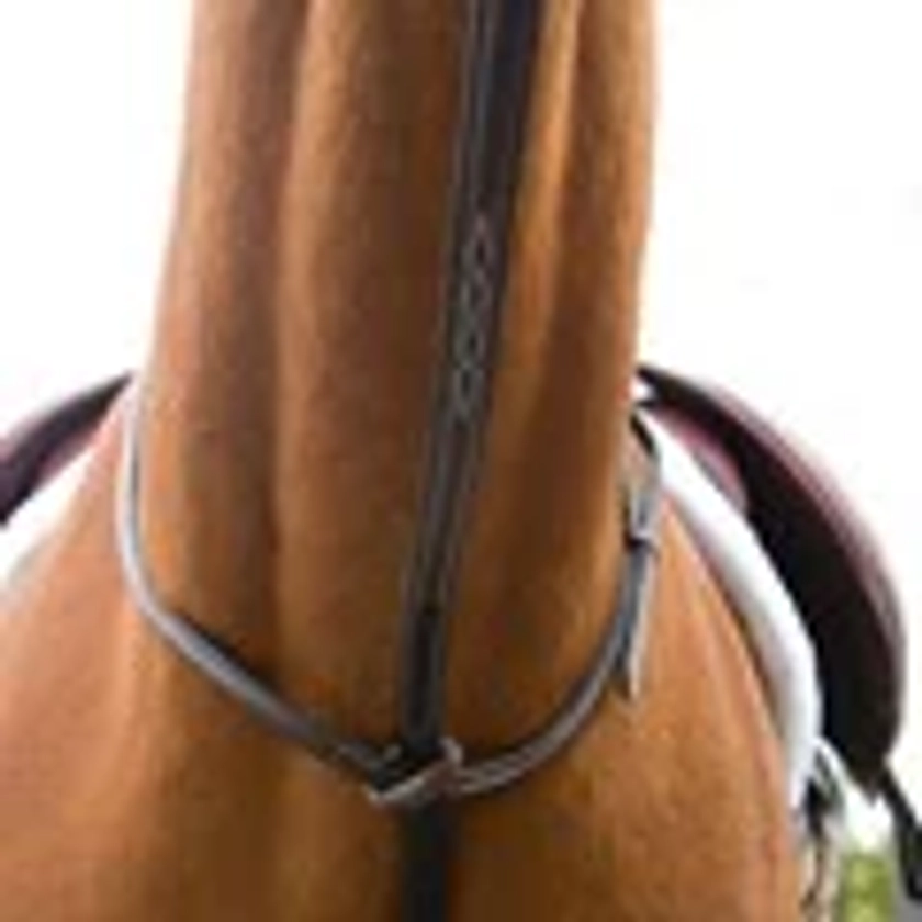 Arc de Triomphe Standing Martingale