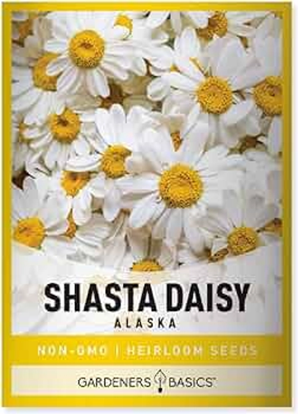 Gardeners Basics, White Shasta Daisy Flower Seeds for Planting (Alaska, Chrysanthemum Maximum) Perennial Heirloom, Non-GMO Flowers Seed Variety- 500mg Seeds Great for Summer Cut Flower Gardens