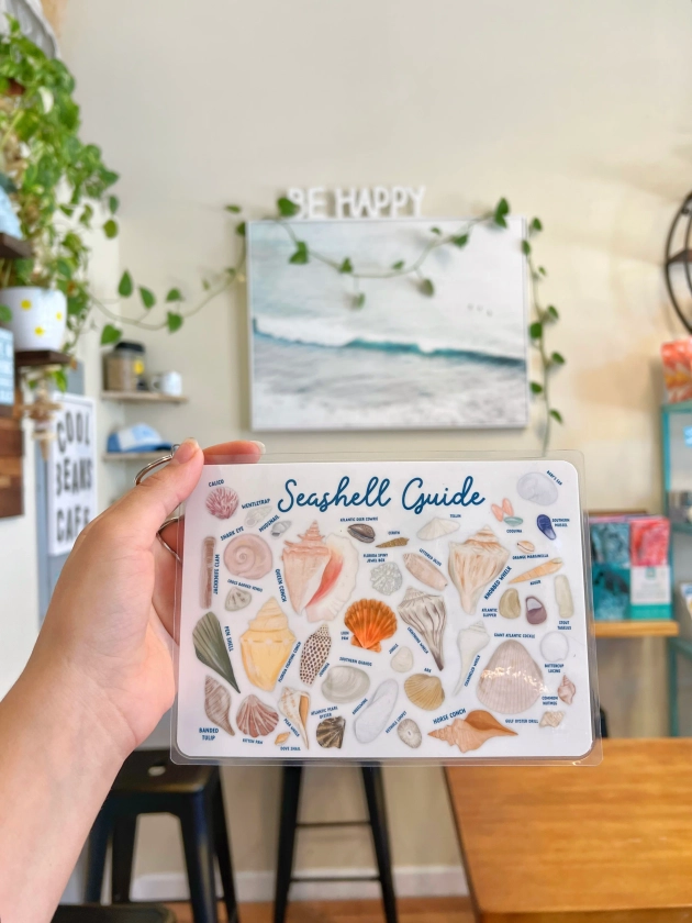 Laminated Seashell Guide