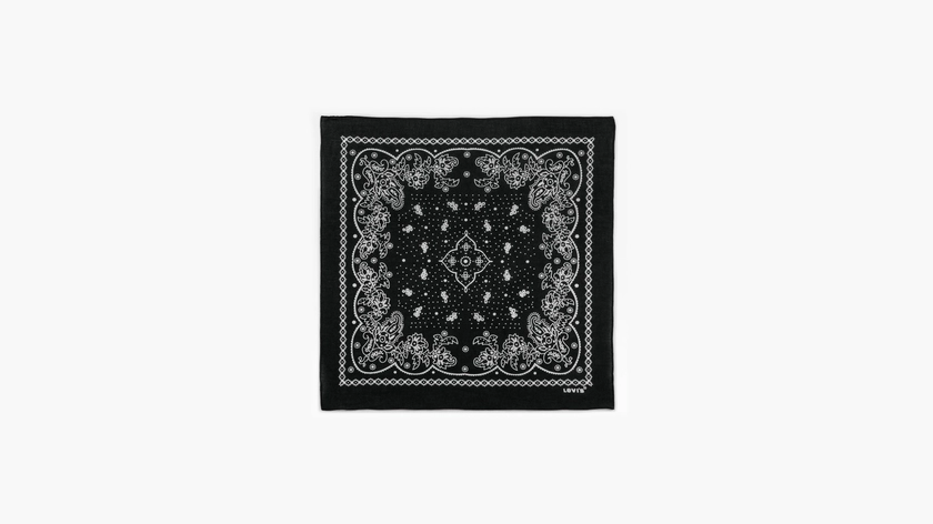 Paisley Bandana