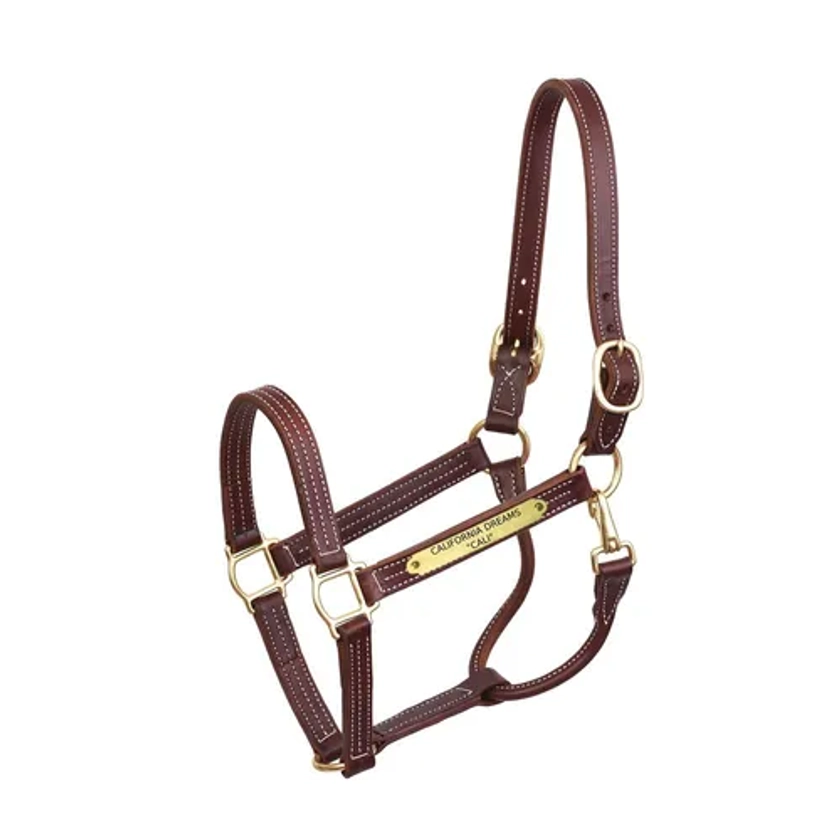 Perri’s® Professional Halter with Nameplate | Dover Saddlery