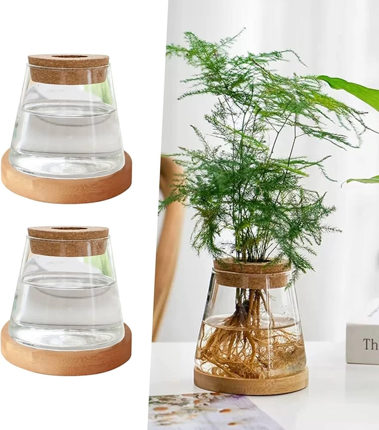 Lot de 2 Vases Hydroponiques avec Bouchon en Liège, Mini Station de Propagation de Plantes, Vases Hydroponiques en Verre, Mini Terrarium en Verre avec Base en Bois pour Décoration de Table