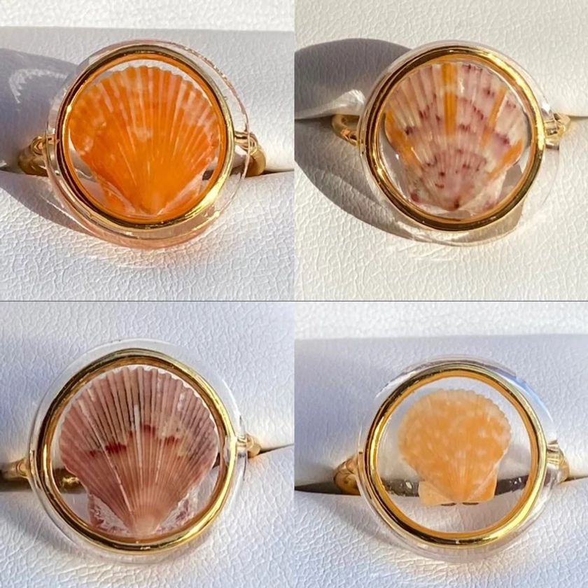 *Rare Finds* Treasure Seashell Rings