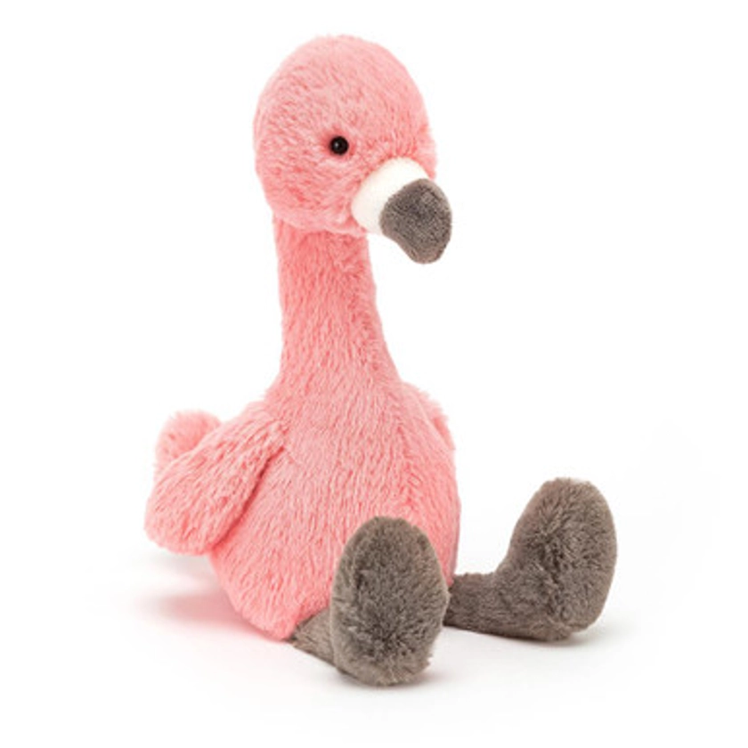 Bashful Flamingo