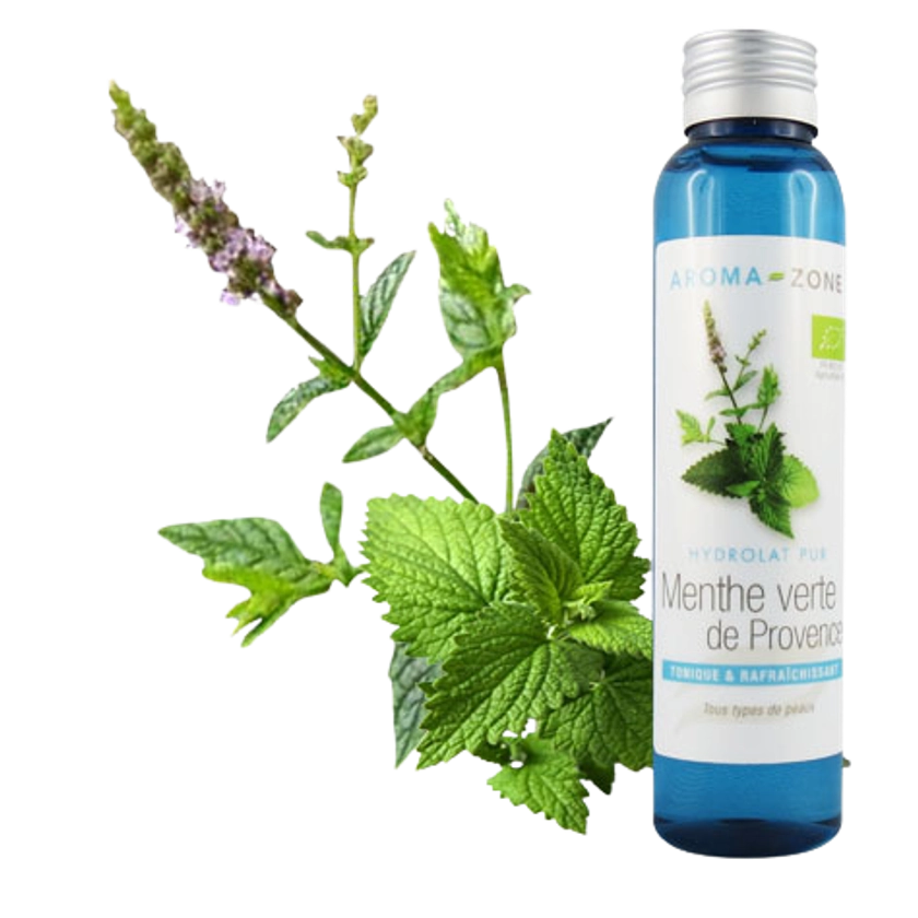 Hydrolat de Menthe verte de Provence BIO