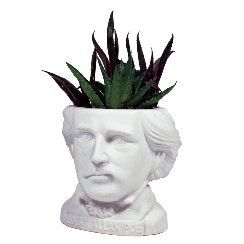 Edgar Allan Poe Planter