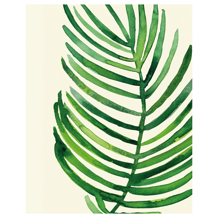 BILD image, Feuille de palmier tropical, 40x50 cm - IKEA