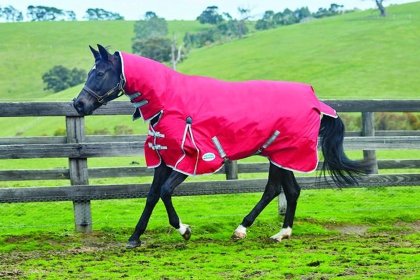 WEATHERBEETA Comfitec Classic Combo Neck Lite Horse Blanket, Red/Silver/Navy, 78-in - Chewy.com