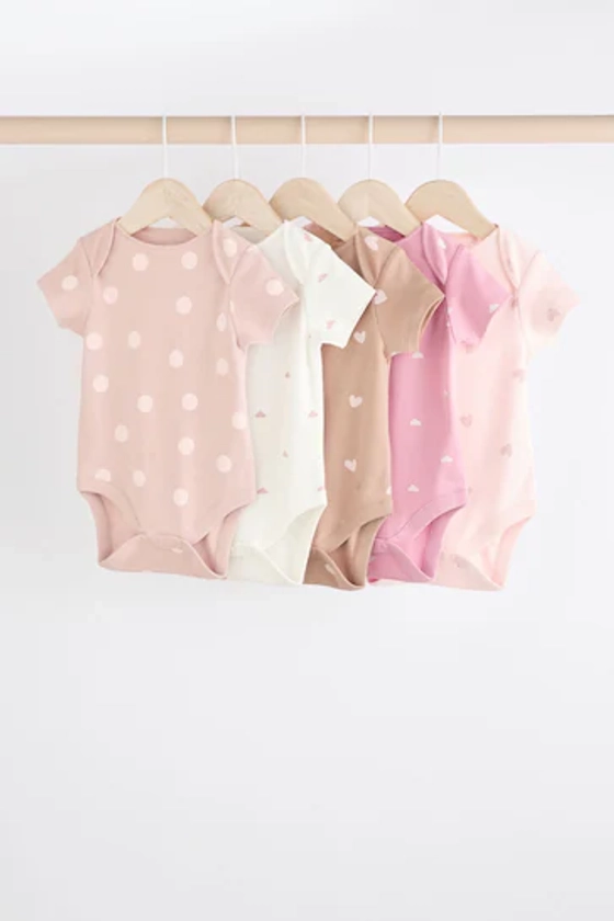 Buy Brown & Pink Baby Short Sleeve 100% Cotton Bodysuits 5 Pack from the Next UK online shop