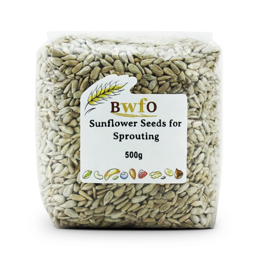 Organic Sunflower Seeds for Sprouting
