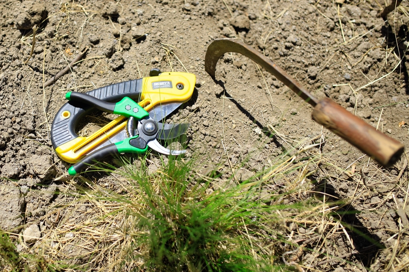 Gifts that grow | Pruning tools | Tree Aid
