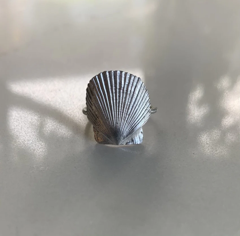 Baby Mexican Seashell - Makmel Treasure Design