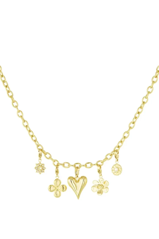 "Charms" necklace heart