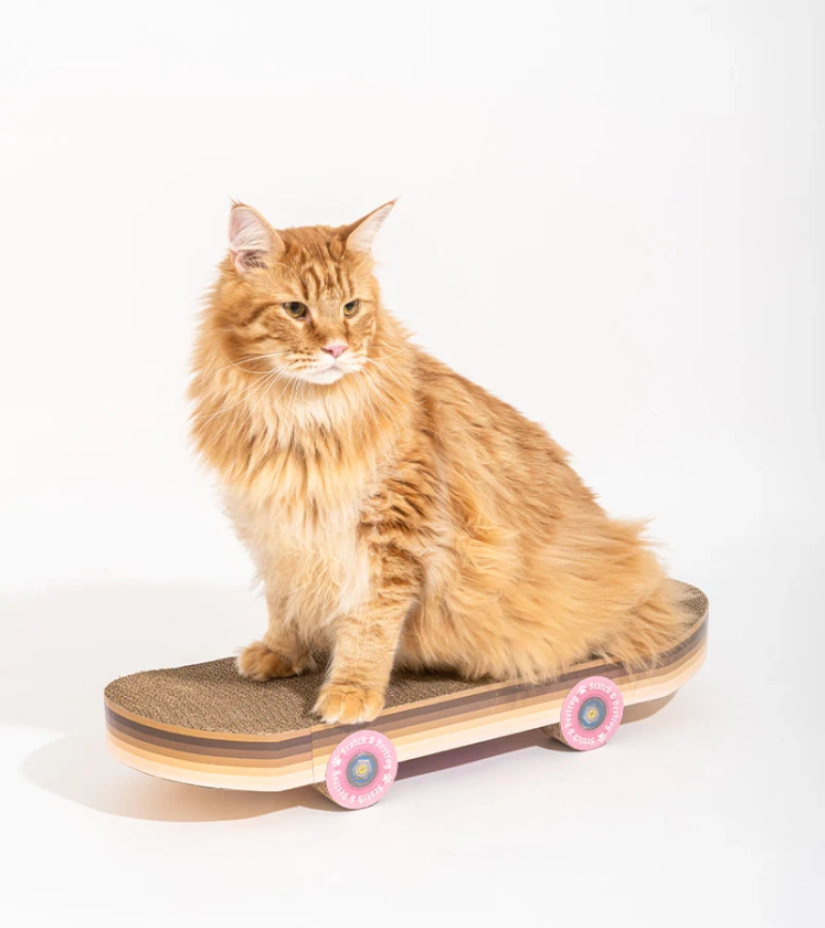 Griffoir skateboard pour chats