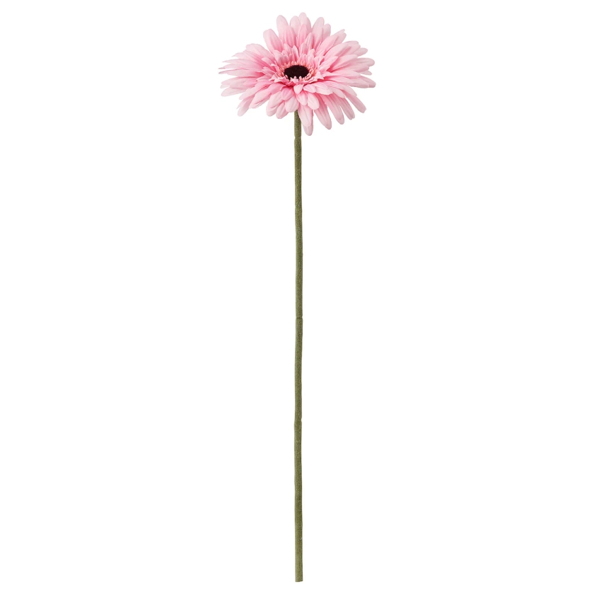 SMYCKA Fleur artificielle, Gerbera, rose - IKEA