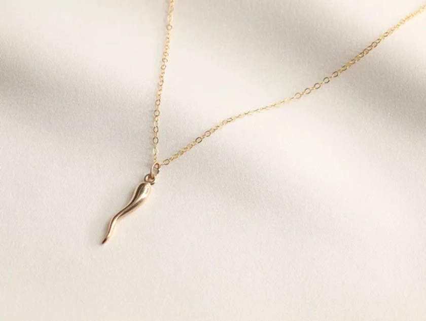 Gold Filled Italian Horn Necklace, Layering Necklace, Gold Necklace, Horn Necklace, Dainty Necklace, Italian Horn, Protection Necklace