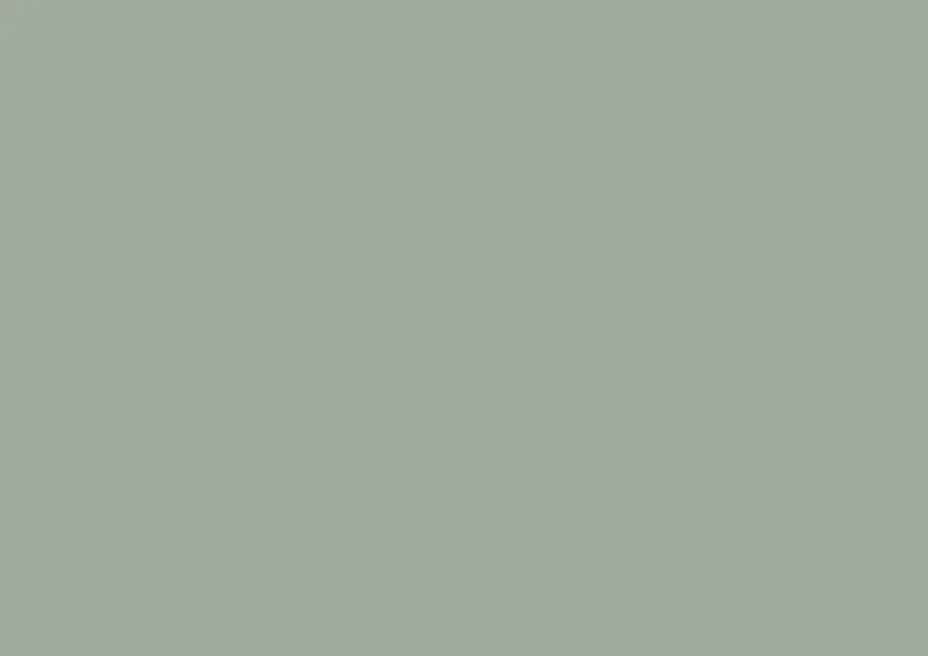 Rouleau adhésif décoratif uni mat, sage green, vert sauge, 67.5 cm x 200 cm | Leroy Merlin