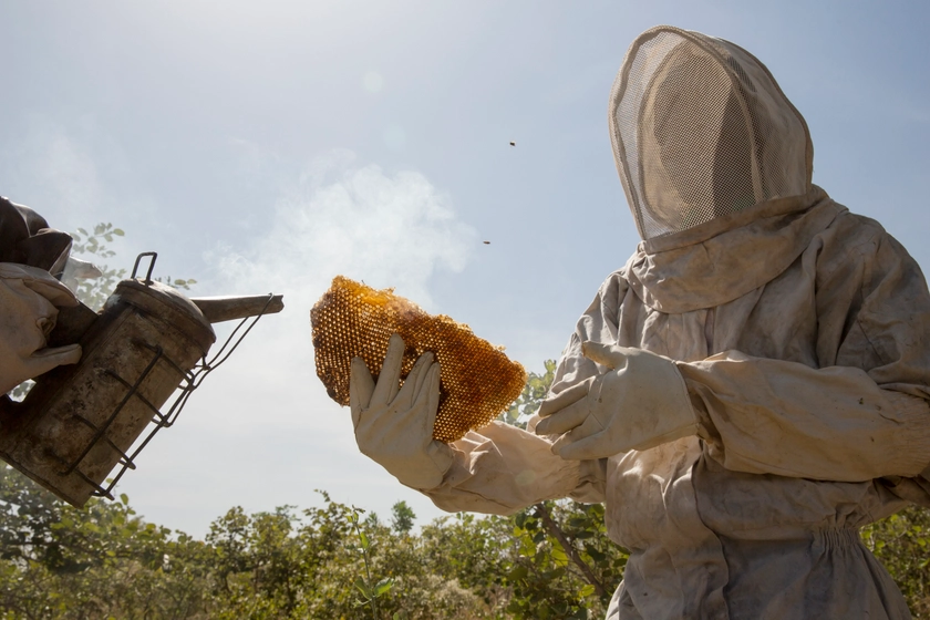 Gifts that grow | Beekeeping suit | Tree Aid