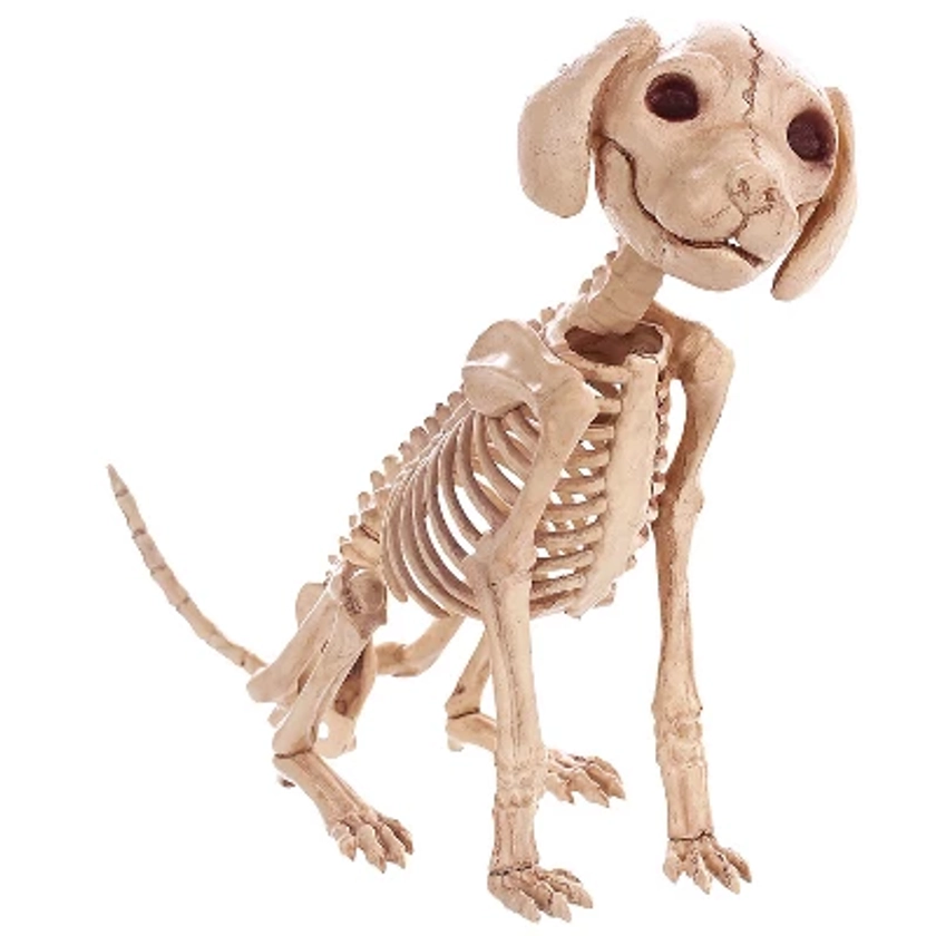 Seasons USA Skelebones Sitting Puppy Halloween Decoration - 12 in - Off-White