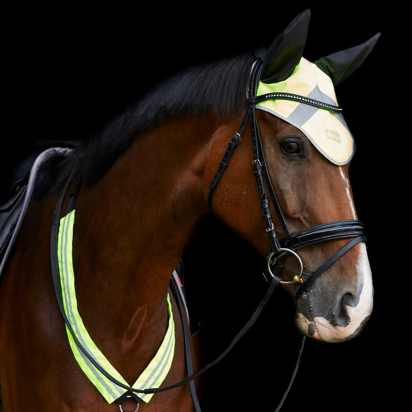 Masta Hi Viz Fly Veil Yellow | Harry Hall