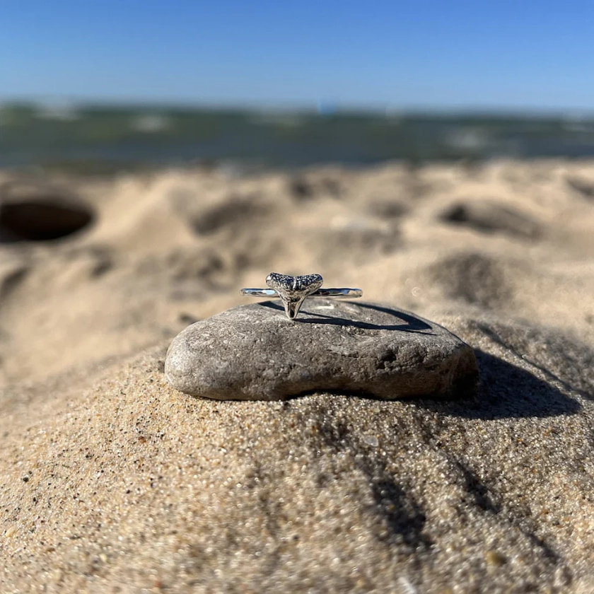 Shark Tooth Ring