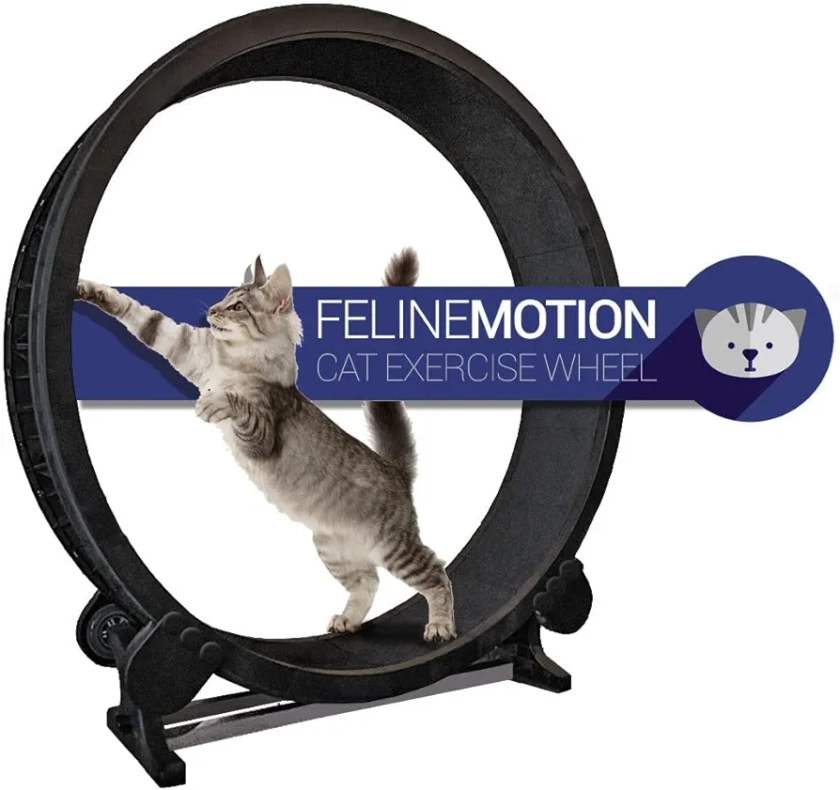 NA Cat Exercise Wheel - Pet Treadmill Running Machine - Perfect for your Energetic Cat