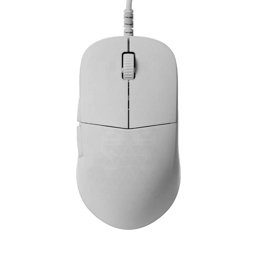 Endgame Gear XM2 8K White Frost - Achat Souris Gamer Ultra légère