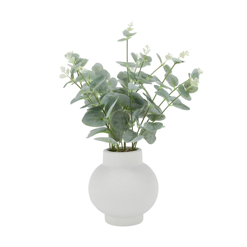 Artificial Eucalyptus Stems in Vase