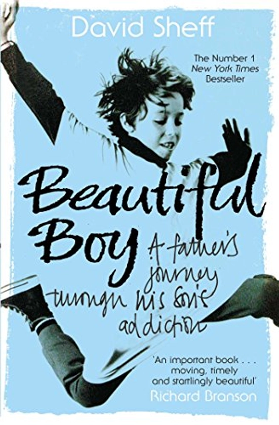 Beautiful Boy By David Sheff | Used | 9781847391612 | World of Books