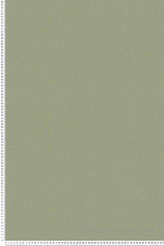 Papier peint expansé sur intissé Lessivable Collection Greenery L.10.05 x l.0.53 m. - Réf. SP15009