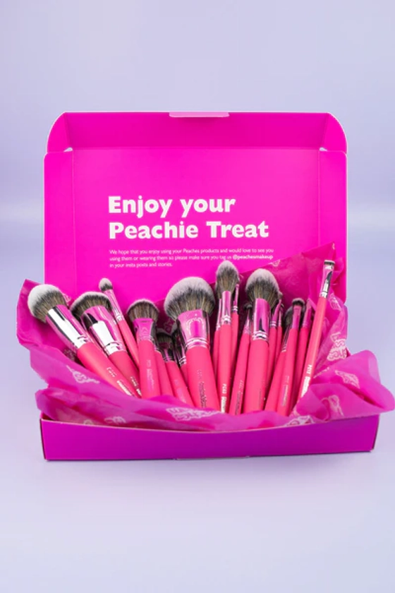 25 Piece Makeup Brush Set