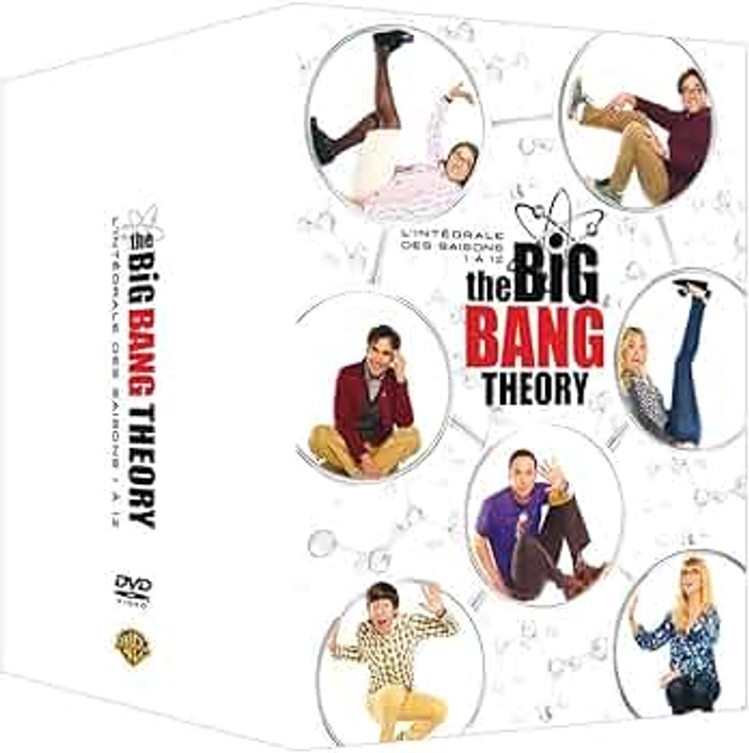 The Big Bang Theory - L'Intégrale Saisons 1 à 12 [DVD]