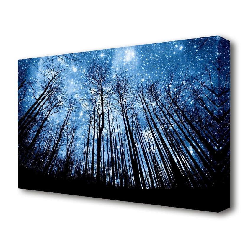 Starry Night In The Forest Forest - Wrapped Canvas Photograph