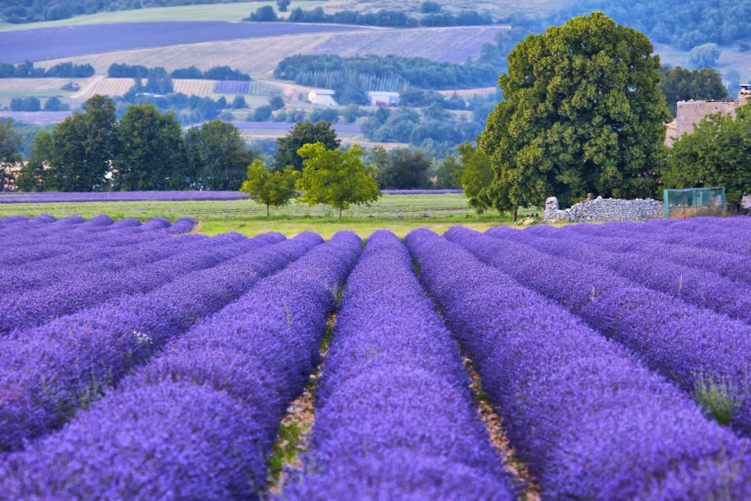 Luberon Valley Vistas