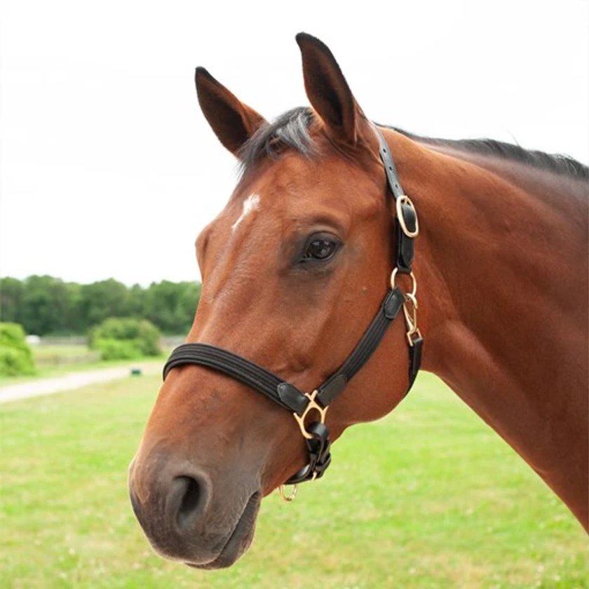 SmartPak Padded Cotton and Leather Halter